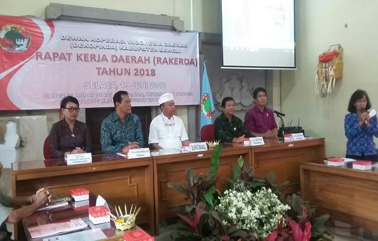 Rakerda tahun 2018 ( Dekopinda Kabupaten Bangli )