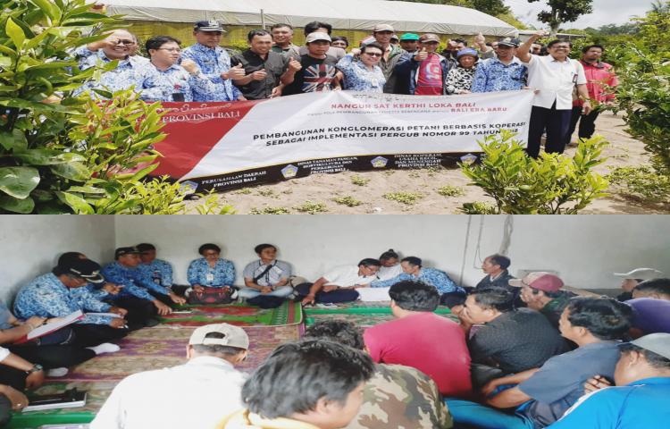 Sosialisasi Pendirian Koperasi dan Pemasaran bagi Kelompok Petani Jeruk di Desa Bayung Gede Kintamani 